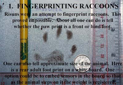 Fingerprinting Raccoons